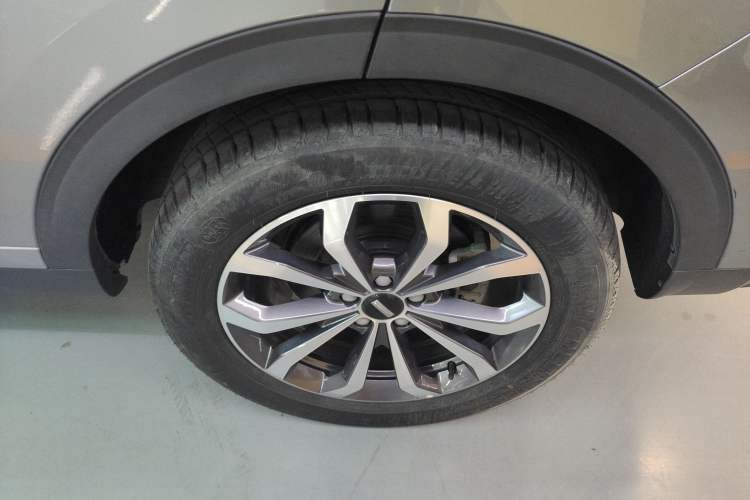 Used Wey VV6 2020 2.0T Two-Wheel Drive Smart Enjoyment+ Left Rear Wheel Hub