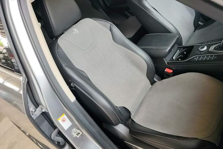 Used Wey VV6 2020 2.0T Two-Wheel Drive Smart Protection+ Right Front Seat