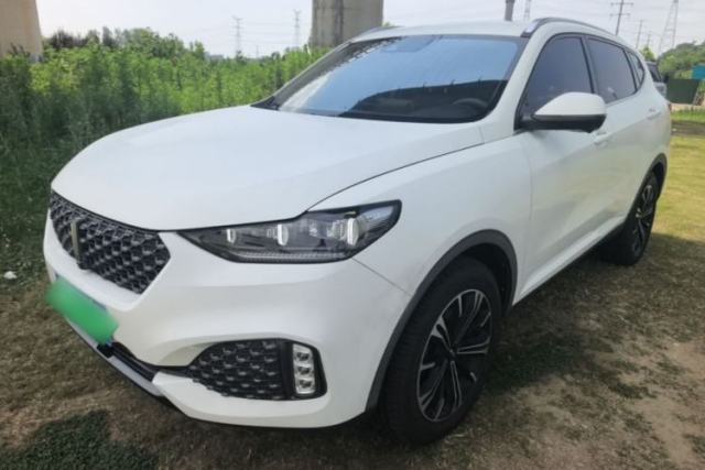 Used Wey VV6 2020 2.0T Two-Wheel Drive Smart Protection+