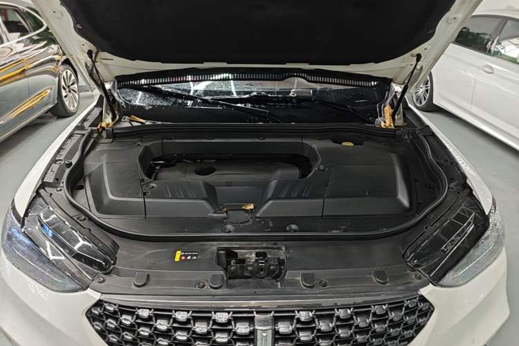 Used Wey VV6 2020 2.0T Two-Wheel Drive Smart Enjoyment+ Engine Bay