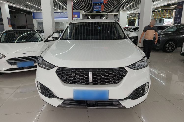 Used Wey VV6 2020 2.0T Four-Wheel Drive Zhiyu+ Exterior 1