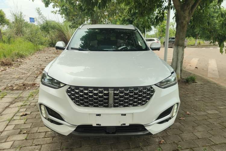 Used Wey VV6 2020 2.0T Two-Wheel Drive Zhiyue+ Front