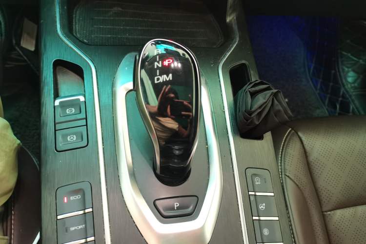 Used Wey VV6 2020 2.0T Two-Wheel Drive Smart Protection+ Gear Lever