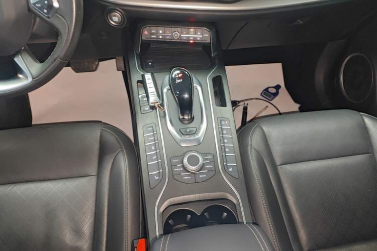 Used Wey VV6 2020 2.0T Two-Wheel Drive Smart Enjoyment+ Gear Lever