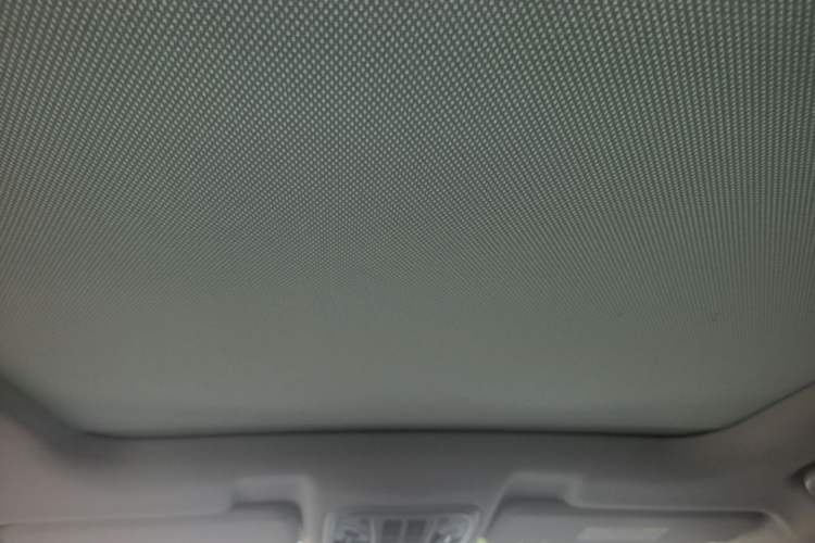 Used Wey VV6 2020 2.0T Two-Wheel Drive Smart Protection+ Headliner