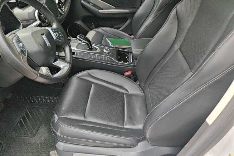 Used Wey VV6 2020 2.0T Two-Wheel Drive Smart Enjoyment+ Left Front Seat