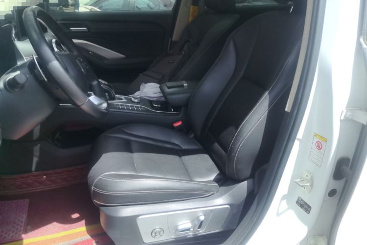 Used Wey VV6 2020 2.0T Two-Wheel Drive Smart Protection+ Left Front Seat