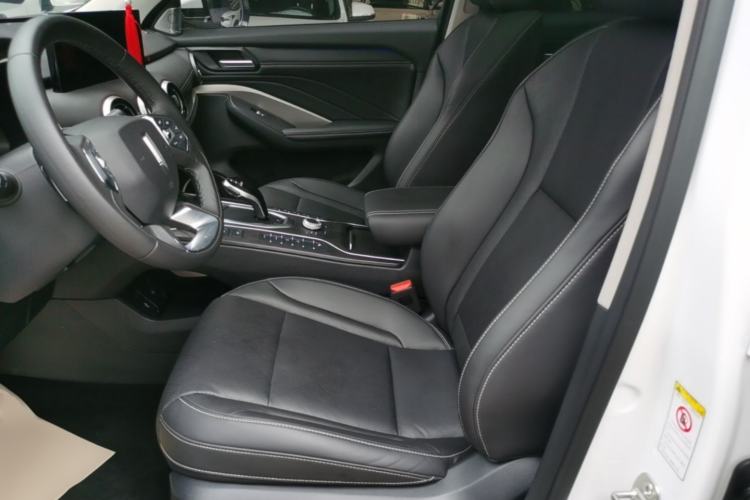 Used Wey VV6 2020 2.0T Two-Wheel Drive Smart Protection+ Left Front Seat