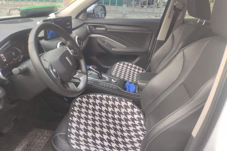 Used Wey VV6 2020 2.0T Two-Wheel Drive Smart Protection+ Left Front Seat