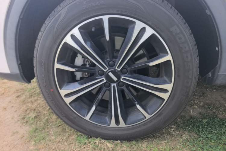 Used Wey VV6 2020 2.0T Two-Wheel Drive Smart Protection+ Left Front Wheel Hub
