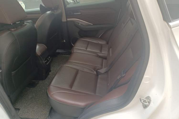 Used Wey VV6 2020 2.0T Two-Wheel Drive Smart Protection+ Left Rear Seat