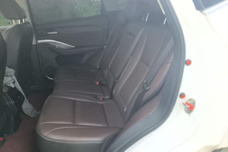 Used Wey VV6 2020 2.0T Two-Wheel Drive Smart Protection+ Left Rear Seat
