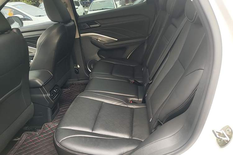 Used Wey VV6 2020 2.0T Two-Wheel Drive Smart Protection+ Left Rear Seat