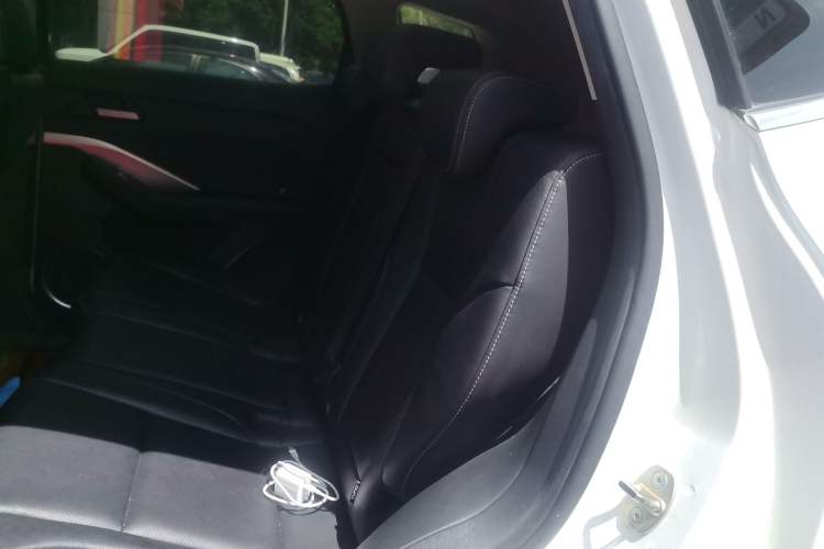 Used Wey VV6 2020 2.0T Two-Wheel Drive Smart Protection+ Left Rear Seat