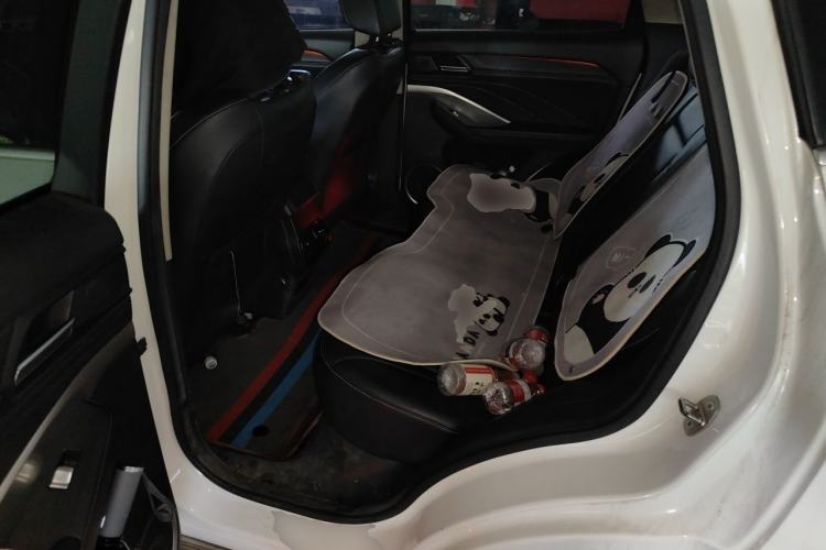 Used Wey VV6 2020 2.0T Two-Wheel Drive Smart Protection+ Left Rear Seat