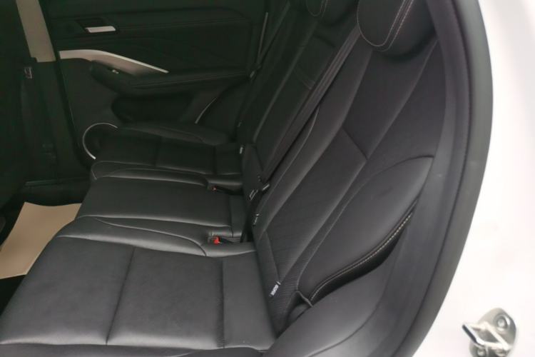 Used Wey VV6 2020 2.0T Two-Wheel Drive Smart Protection+ Left Rear Seat