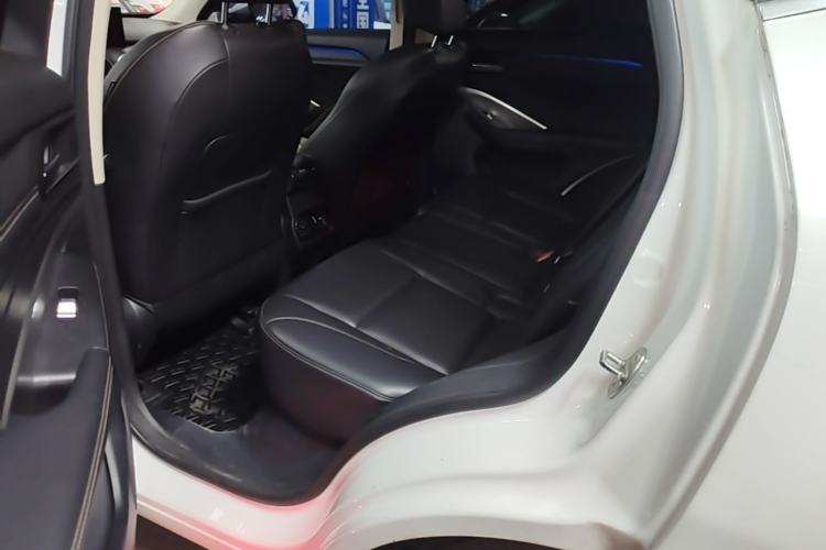 Used Wey VV6 2020 2.0T Two-Wheel Drive Smart Enjoyment+ Left Rear Seat