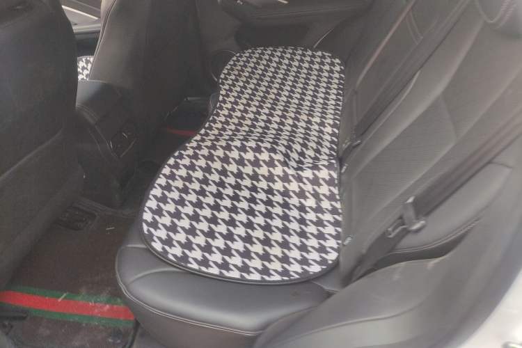 Used Wey VV6 2020 2.0T Two-Wheel Drive Smart Protection+ Left Rear Seat