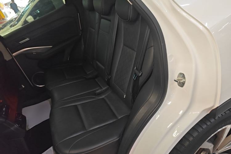 Used Wey VV6 2020 2.0T Two-Wheel Drive Smart Enjoyment+ Left Rear Seat