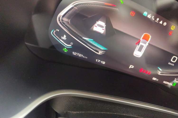 Used Wey VV6 2020 2.0T Two-Wheel Drive Smart Protection+ Odometer Close Up