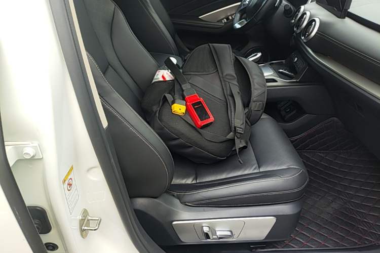Used Wey VV6 2020 2.0T Two-Wheel Drive Smart Protection+ Right Front Seat