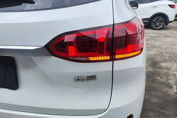 Used Wey VV6 2020 2.0T Two-Wheel Drive Smart Protection+ Right Rear Taillight
