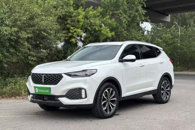 Używany Wey VV6 2020 2.0T Two-Wheel Drive Smart Enjoyment+