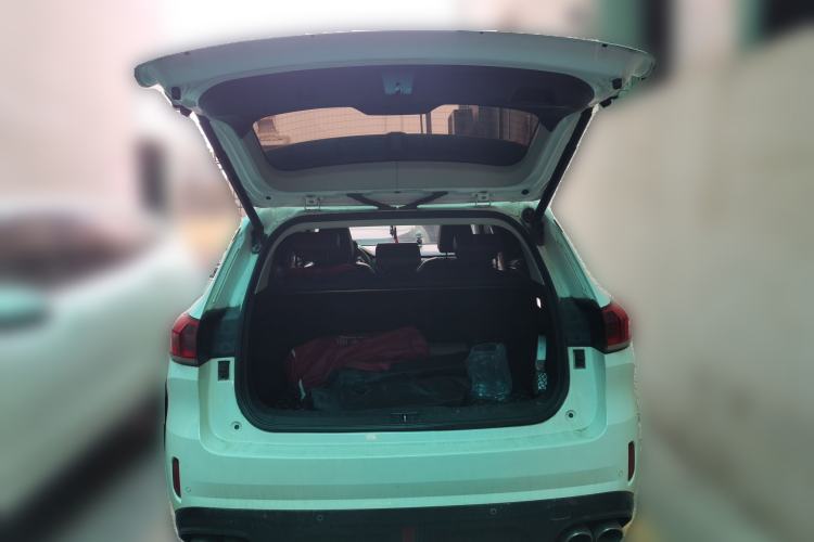 Used Wey VV6 2020 2.0T Two-Wheel Drive Smart Protection+ Trunk