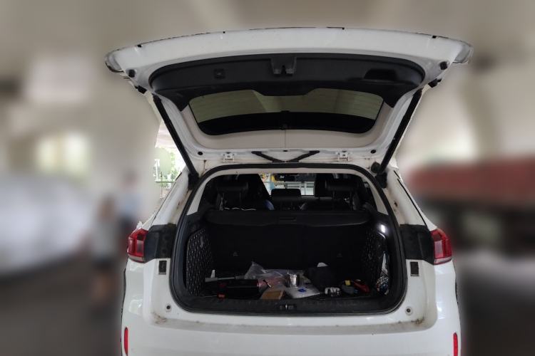 Used Wey VV6 2020 2.0T Two-Wheel Drive Smart Protection+ Trunk