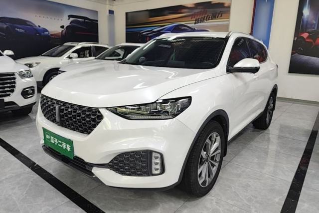Used Wey VV6 2020 2.0T Two-Wheel Drive Smart Enjoyment+
