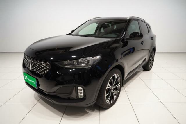 Used Wey VV6 2021 2.0T Two-Wheel Drive Smart Protection+