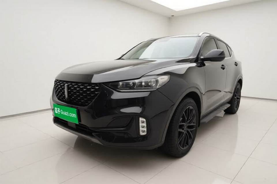 Wey VV6 2021