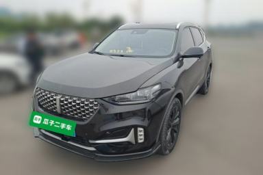 Used Wey VV6 2021 2.0T Two-Wheel Drive Smart Protection+
