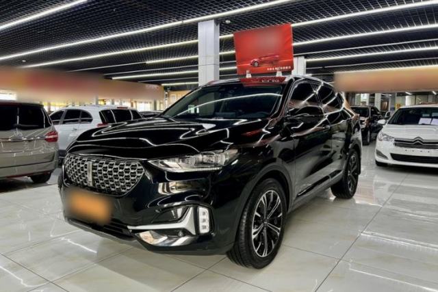Wey VV6 2021 2.0T Two-Wheel Drive Smart Plus usado