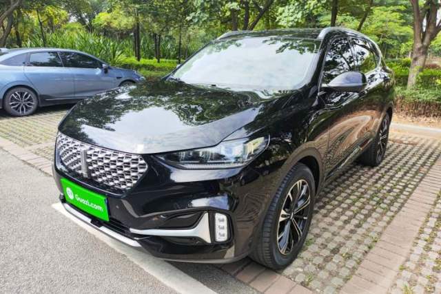 Used Wey VV6 2021 2.0T Two-Wheel Drive Smart Protection+