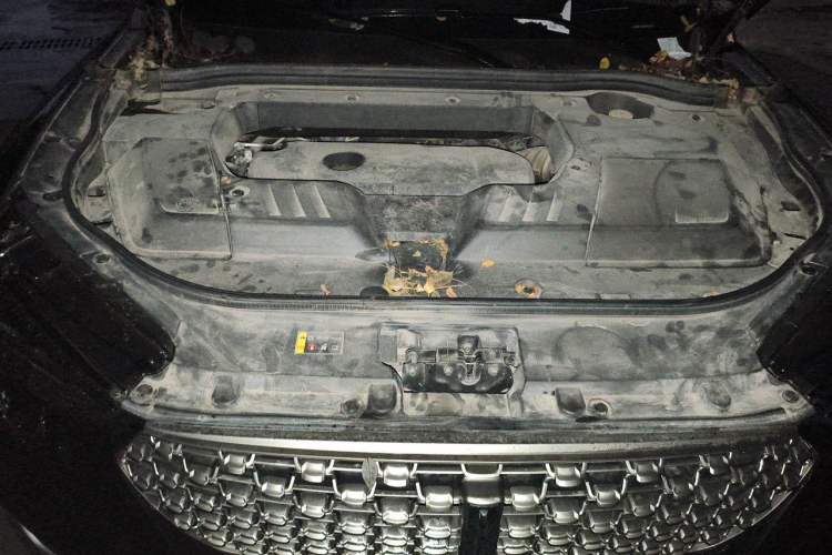 Used Wey VV6 2021 2.0T Two-Wheel Drive Smart Plus Engine Bay