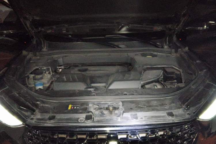 Used Wey VV6 2021 2.0T Two-Wheel Drive Smart Protection+ Engine Bay
