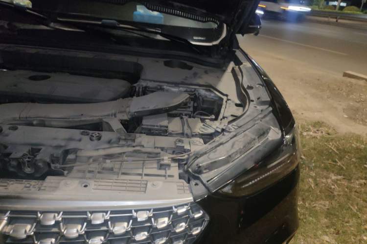 Used Wey VV6 2021 2.0T Two-Wheel Drive Smart Plus Engine Bay Left