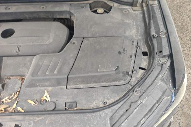 Used Wey VV6 2021 2.0T Two-Wheel Drive Smart Protection+ Engine Bay Left