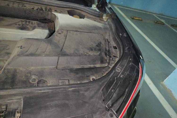 Used Wey VV6 2021 2.0T Two-Wheel Drive Smart Protection+ Engine Bay Left