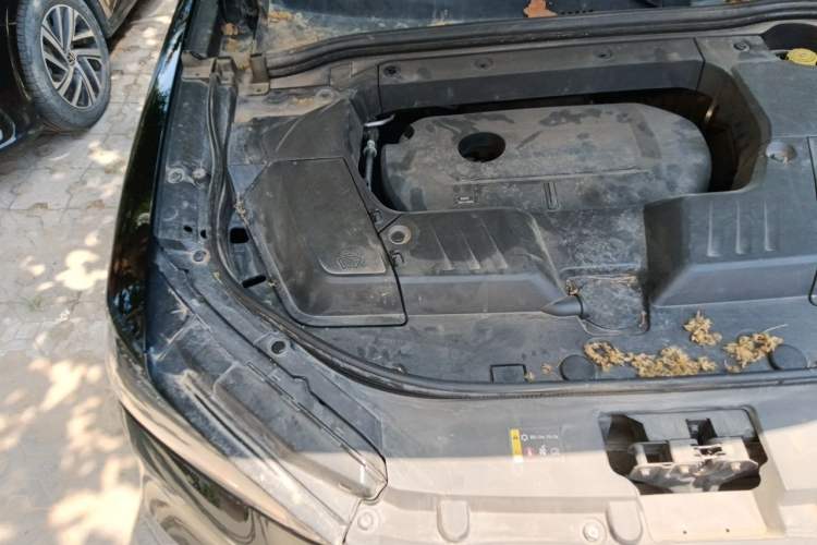 Used Wey VV6 2021 2.0T Two-Wheel Drive Smart Plus Engine Bay Right