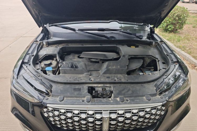 Used Wey VV6 2021 2.0T Two-Wheel Drive Smart Protection+ Engine Bay