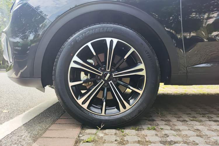 Used Wey VV6 2021 2.0T Two-Wheel Drive Smart Protection+ Exterior 2