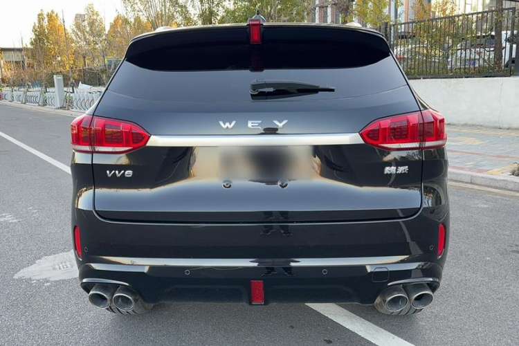 Used Wey VV6 2021 2.0T Two-Wheel Drive Smart Protection+ Exterior 3