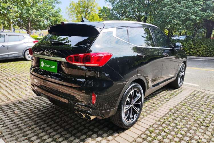 Used Wey VV6 2021 2.0T Two-Wheel Drive Smart Protection+ Exterior 6