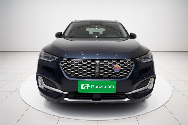 Used Wey VV6 2021 2.0T Two-Wheel-Drive Child-Care Edition Front