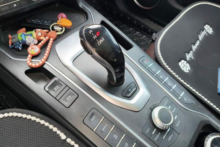 Used Wey VV6 2021 2.0T Two-Wheel Drive Smart Plus Gear Lever
