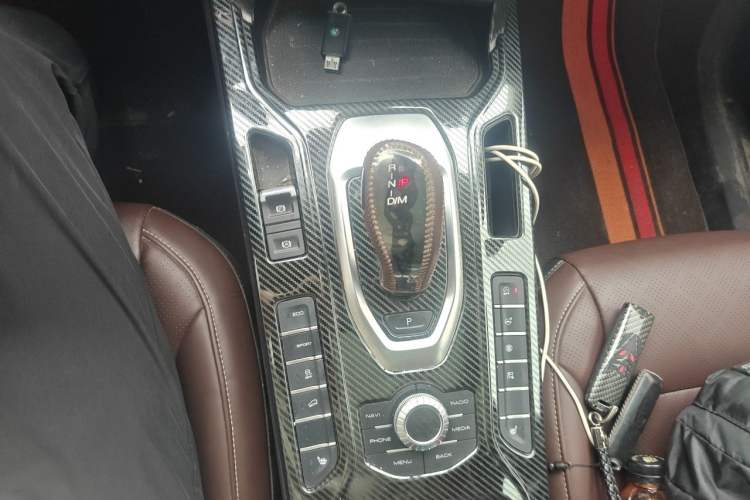 Used Wey VV6 2021 2.0T Two-Wheel Drive Smart Protection+ Gear Lever