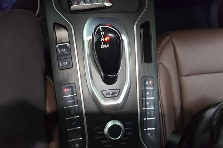 Used Wey VV6 2021 2.0T Two-Wheel Drive Smart Protection+ Gear Lever