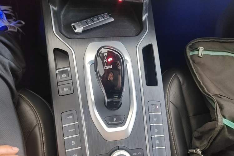 Used Wey VV6 2021 2.0T Two-Wheel Drive Smart Protection+ Gear Lever